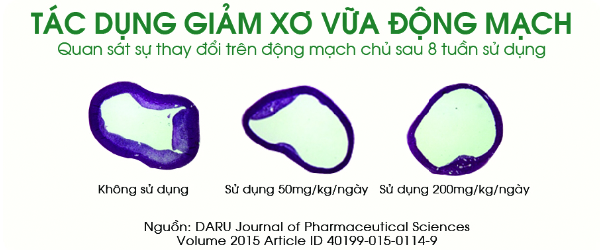 mach-ban-tac-dung-that-cua-tinh-dau-thong-do-giam-xo-vua